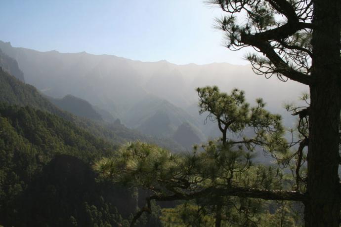 Caldera-Berge in La Palma